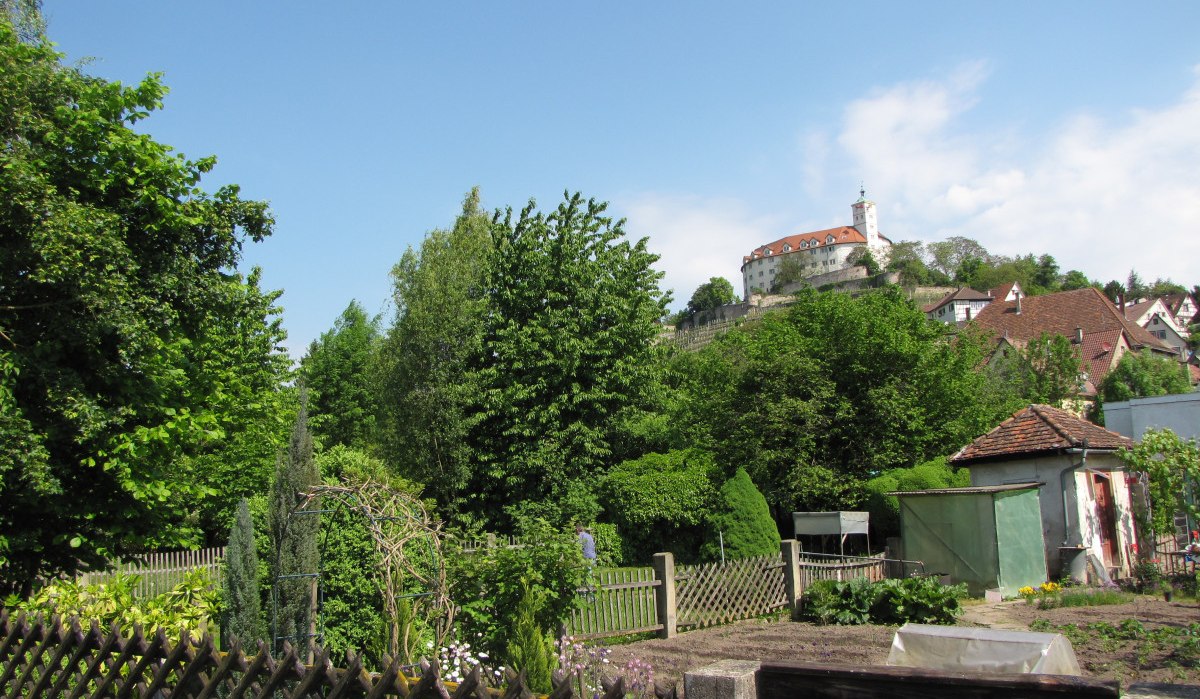 Ein gepflegter Garten mit Holzzaun, Bäumen und Sträuchern. Im Hintergrund ist eine Burg auf einem Hügel zu sehen, umgeben von blauen Himmel., © Land der 1000 Hügel - Kraichgau-Stromberg