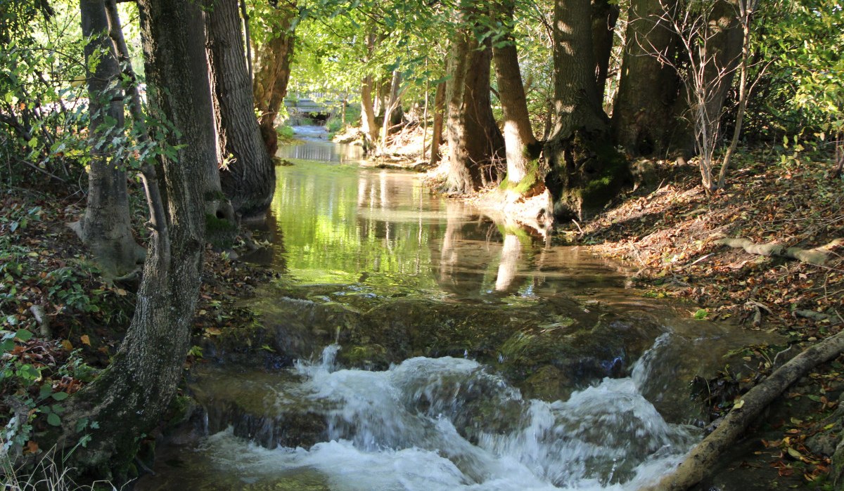 Ein klarer Bach fließt durch einen Wald, umgeben von Bäumen und grünem Laub. Sonnenlicht fällt durch die Blätter und spiegelt sich im Wasser., © Bad Urach Tourismus Ein klarer Bach fließt durch einen Wald, umgeben von Bäumen und grünem Laub. Sonnenlicht fällt durch die Blätter und spiegelt sich im Wasser., © Bad Urach Tourismus