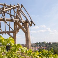 Holzger&uuml;st mit Weinreben im Vordergrund, dahinter eine Stadt und ein Fluss unter blauem Himmel., &copy; SMG, Antje Seeling