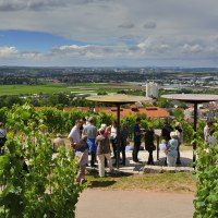 Menschen stehen auf einer Terrasse inmitten von Weinbergen und genießen den weiten Blick über die Stadt Fellbach und die umliegende Landschaft., © Simone Mathias