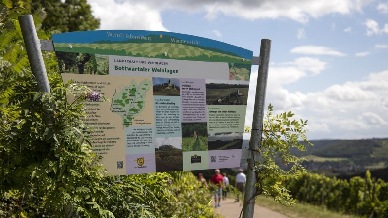 Ein Schild am Weinerlebnisweg Wunnenstein informiert über die Bottwartaler Weinlagen. Im Hintergrund sind Weinberge und eine hügelige Landschaft zu sehen., © Stuttgart Marketung GmbH