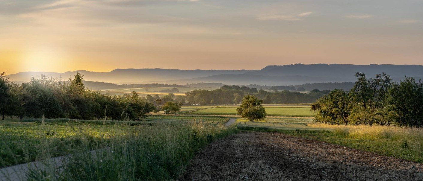 Sonnenuntergang &uuml;ber einer idyllischen Landschaft in Filderstadt mit Feldern, B&auml;umen und sanften H&uuml;geln im Hintergrund., &copy; SMG, Martina Denker