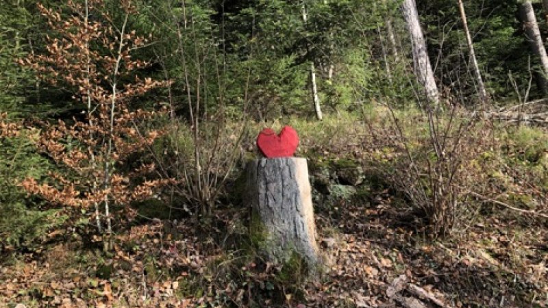 Ein rotes Herz aus Holz steht auf einem Baumstumpf in einem Wald mit Laub und Nadelbäumen., © Nördlicher Schwarzwald
