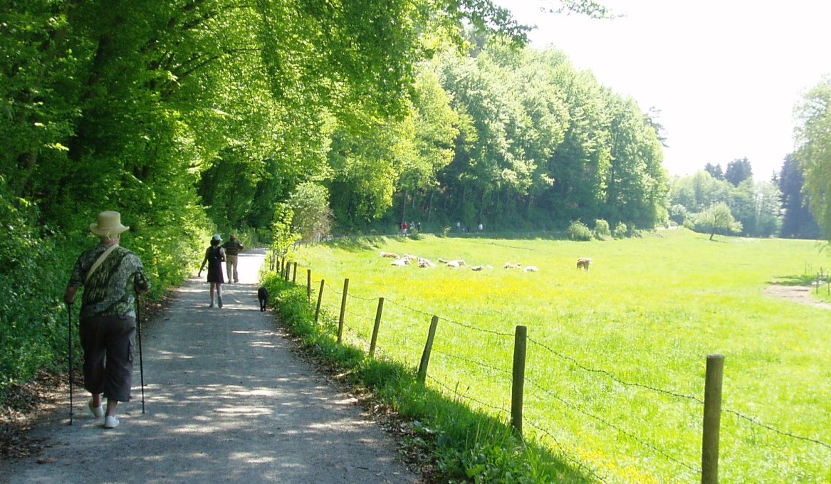 © Natur.Nah. Schönbuch & Heckengäu