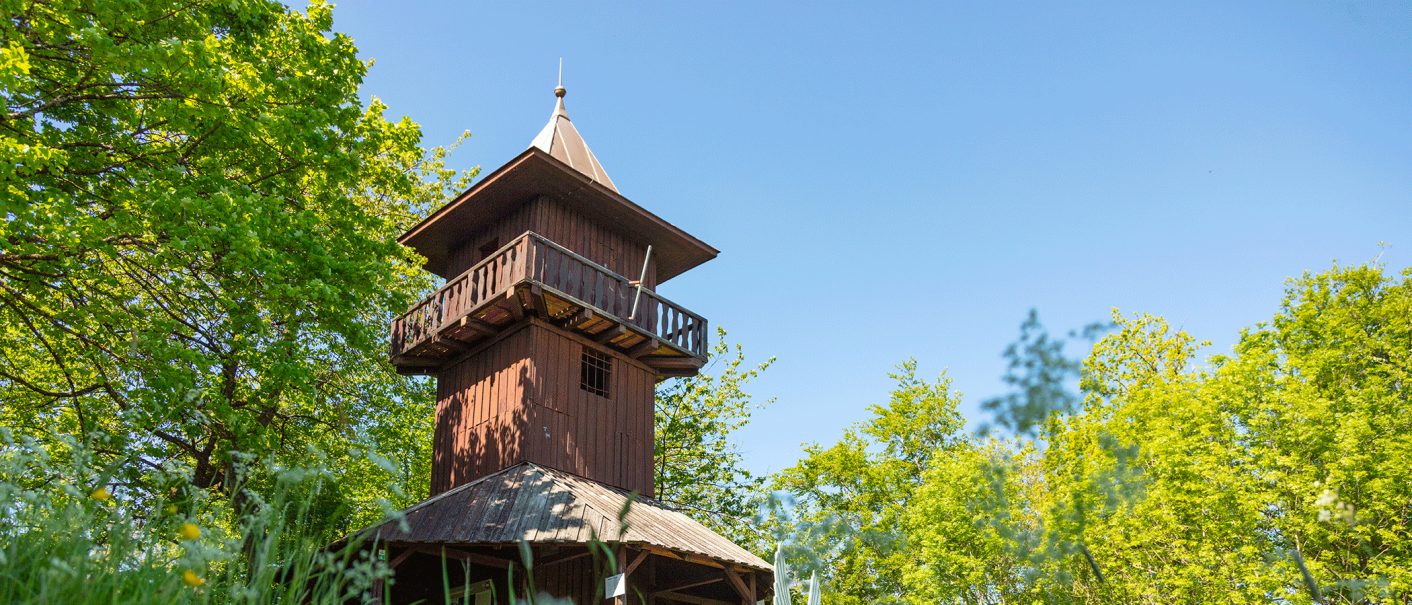 Holzturm auf Wiese, umgeben von Bäumen und Blumen, unter blauem Himmel., © Stadt Gaildorf