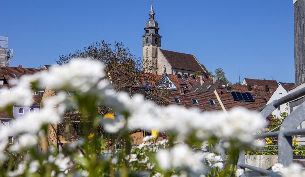 Kirche mit Turm über den Dächern einer Stadt, im Vordergrund weiße Blumen. Blauer Himmel, sonniger Tag., © Stuttgart Marketing GmbH Achim Mende Kirche mit Turm über den Dächern einer Stadt, im Vordergrund weiße Blumen. Blauer Himmel, sonniger Tag., © Stuttgart Marketing GmbH Achim Mende