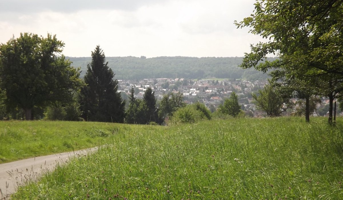 &copy; Natur.Nah. Sch&ouml;nbuch & Heckeng&auml;u