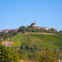 Weinberge erstrecken sich über einen Hügel, auf dem sich das Burgrestaurant "Schöne Aussicht" in Winnenden befindet. Der Himmel ist klar und blau., © Achim Mende