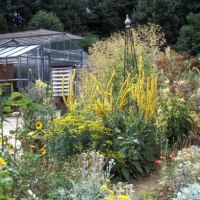 Wala Heilpflanzengarten Bad Boll, © WALA Heilmittel GmbH Wala Heilpflanzengarten Bad Boll, © WALA Heilmittel GmbH