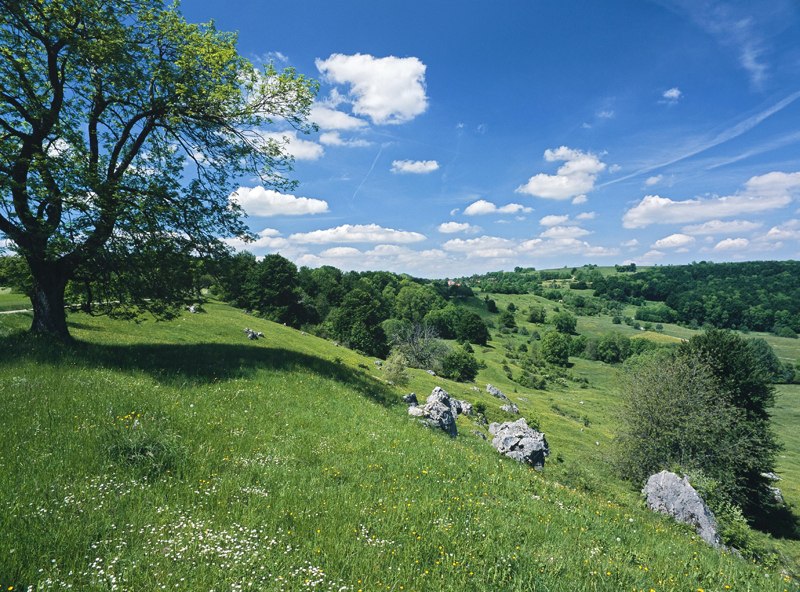 Landschaft im Randecker Maar