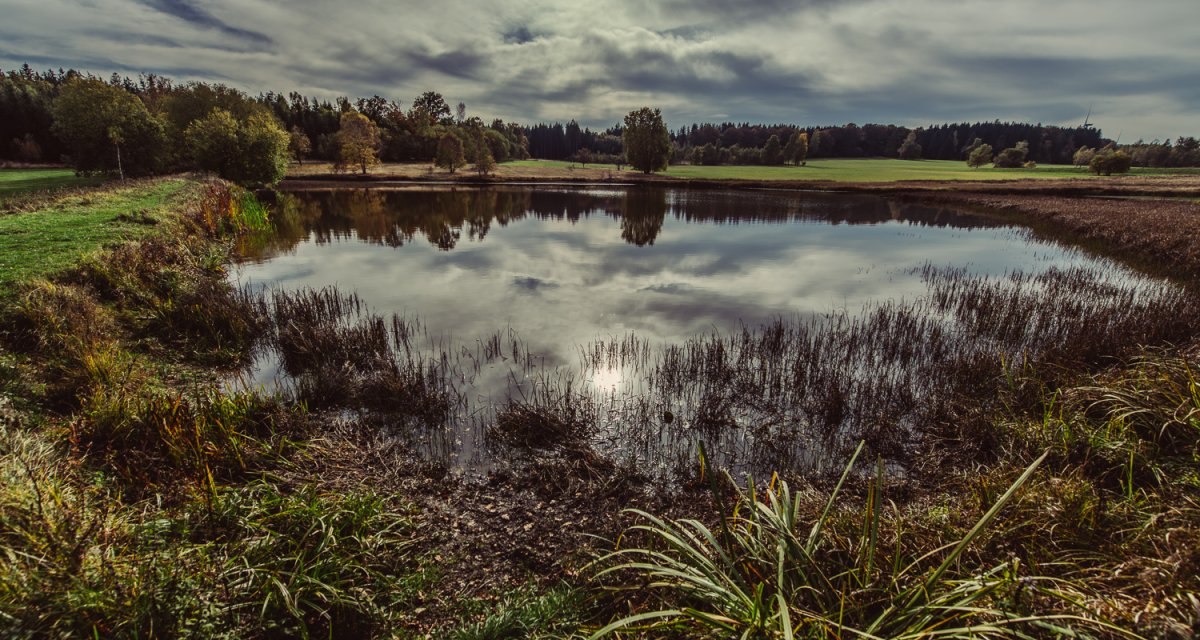 Mystische Stimmung an den Weiherwiesen, &copy; Tourismus Ostalb, Fotograf: Christian Frumolt