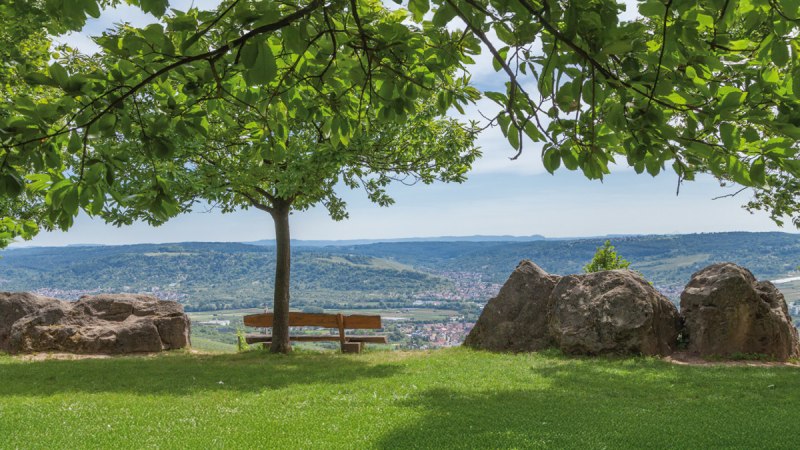 Eine Bank unter einem Baum bietet einen malerischen Blick auf eine gr&uuml;ne, h&uuml;gelige Landschaft. Gro&szlig;e Felsen rahmen die Szene ein.