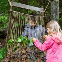 Zwei Kinder weben Blätter und Zweige in einen großen Holzrahmen im Wald. Sie sind konzentriert und umgeben von Bäumen und Pflanzen., © Touristikgemeinschaft Hohenlohe, Künzelsau / Stadtverwaltung Künzelsau