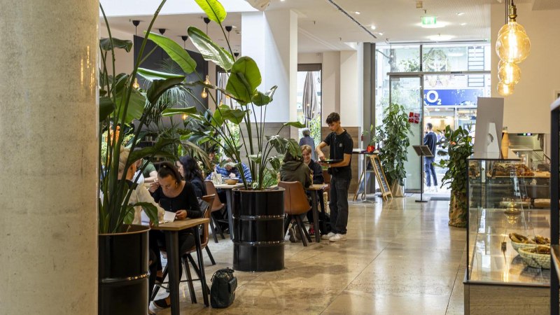 Modernes Caf&eacute; mit gro&szlig;en Pflanzen, Tischen und einem Bediener. Menschen sitzen und genie&szlig;en ihre Zeit. Helle, einladende Atmosph&auml;re., &copy; SMG, Sarah Schmid