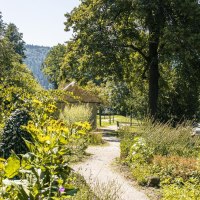 Ein üppiger Garten mit Bäumen und Pflanzen, ein Pfad führt zu einem Pavillon. Im Hintergrund sind bewaldete Hügel zu sehen., © Stuttgart-Marketing GmbH, Sarah Schmid Ein üppiger Garten mit Bäumen und Pflanzen, ein Pfad führt zu einem Pavillon. Im Hintergrund sind bewaldete Hügel zu sehen., © Stuttgart-Marketing GmbH, Sarah Schmid
