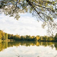 Ein idyllischer See umgeben von herbstlichen Bäumen unter einem klaren Himmel. Die Wasseroberfläche spiegelt die Landschaft wider., © Stuttgart-Marketing GmbH, Sarah Schmid Ein idyllischer See umgeben von herbstlichen Bäumen unter einem klaren Himmel. Die Wasseroberfläche spiegelt die Landschaft wider., © Stuttgart-Marketing GmbH, Sarah Schmid