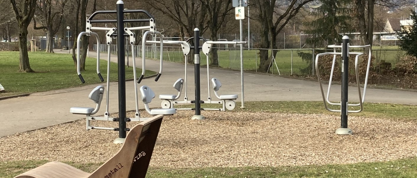 Calisthenics im Galgenbergpark, © Lena Besemer