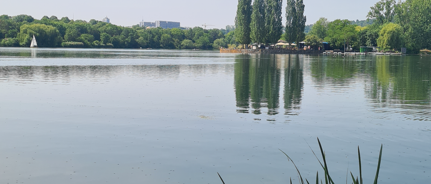 Der Max-Eyth-See in Stuttgart mit ruhigem Wasser, einem Segelboot und Bäumen am Ufer. Im Hintergrund sind Gebäude sichtbar., © Stuttgart-Marketing GmbH, Sandra Nörpel