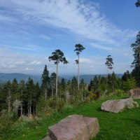 Blick von der Hahnenfalzhütte: Grüne Wiese mit großen Felsen, dahinter hohe Bäume und ein weiter Blick über bewaldete Hügel unter blauem Himmel., © Nördlicher Schwarzwald