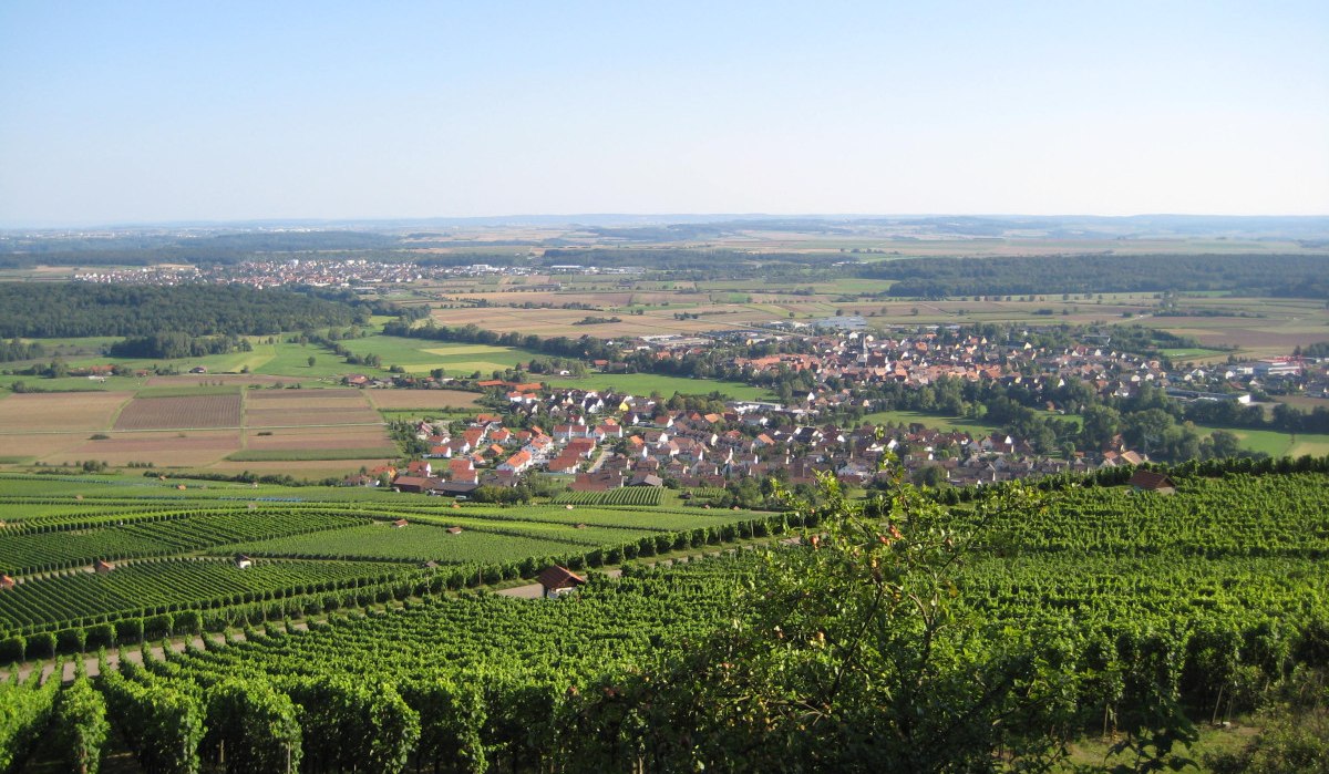 Panoramablick vom Klosterberg über Horrheim mit Weinbergen im Vordergrund und dem Dorf in der Ferne unter klarem Himmel., © Land der 1000 Hügel - Kraichgau-Stromberg Panoramablick vom Klosterberg über Horrheim mit Weinbergen im Vordergrund und dem Dorf in der Ferne unter klarem Himmel., © Land der 1000 Hügel - Kraichgau-Stromberg