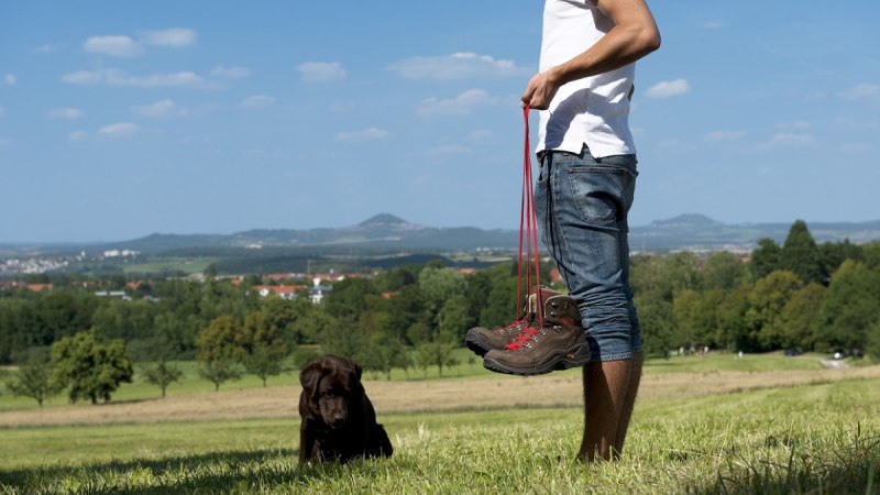 Person in Jeans und weißem T-Shirt hält Wanderschuhe. Ein Hund sitzt im Gras. Im Hintergrund sind grüne Felder und Hügel zu sehen., © Landkreis Göppingen