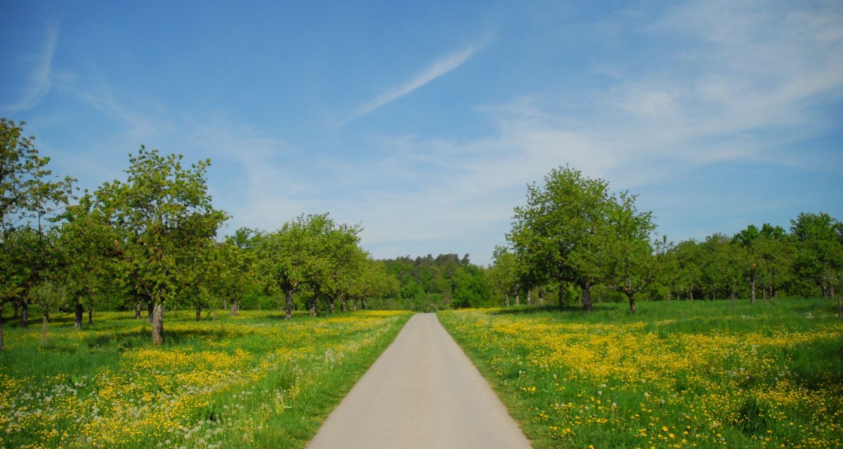 Ein schmaler Weg führt durch eine grüne Wiese mit blühenden Bäumen und gelben Blumen unter einem blauen Himmel., © Stadt Schorndorf