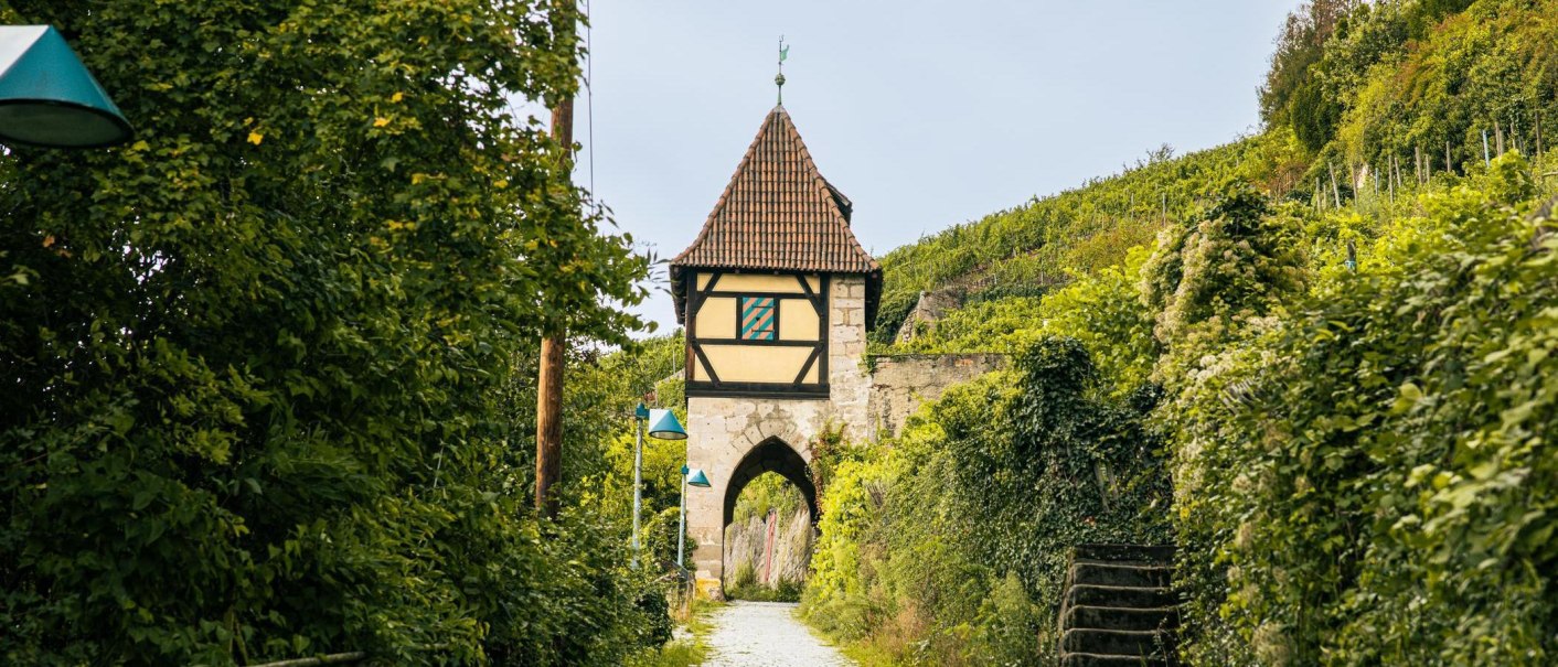 Das Neckarhaldentor in Esslingen, umgeben von Weinbergen und dichtem Grün, bietet einen malerischen Anblick., © Stuttgart-Marketing GmbH, Sarah Schmid Das Neckarhaldentor in Esslingen, umgeben von Weinbergen und dichtem Grün, bietet einen malerischen Anblick., © Stuttgart-Marketing GmbH, Sarah Schmid