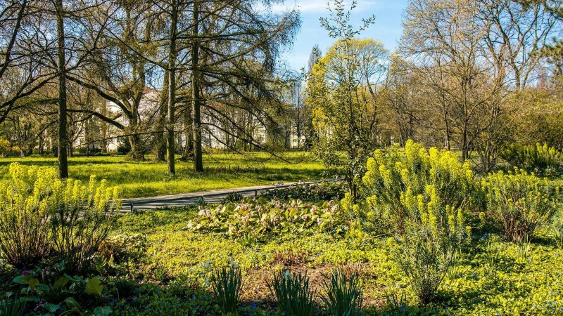 Fr&uuml;hlingsszene im Salamander Park Kornwestheim mit bl&uuml;henden Pflanzen und B&auml;umen entlang eines Spazierwegs., &copy; Stuttgart-Marketing GmbH, Sarah Schmid