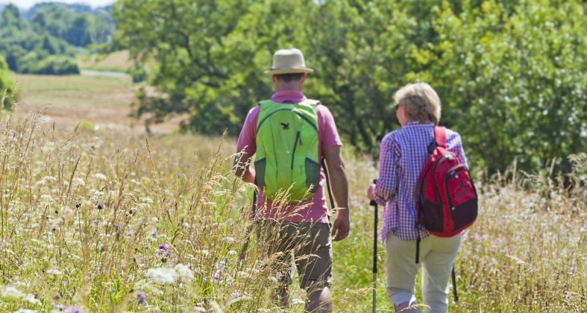 Zwei Personen mit Rucksäcken wandern auf einem Feldweg durch eine grüne Landschaft mit hohen Gräsern und Bäumen., © 3B-Tourismus Zwei Personen mit Rucksäcken wandern auf einem Feldweg durch eine grüne Landschaft mit hohen Gräsern und Bäumen., © 3B-Tourismus