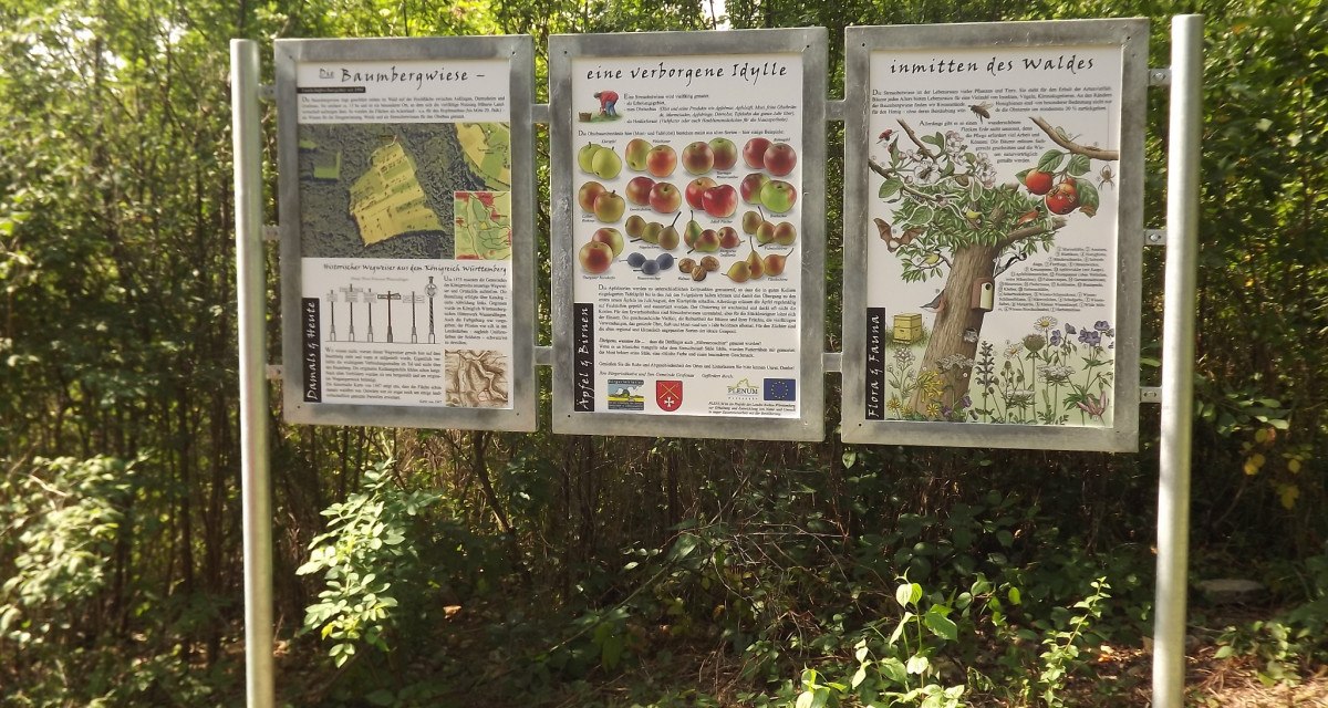 Drei Informationstafeln im Freien, die über die Baumbergwiese, eine verborgene Idylle und die Natur im Wald informieren. Umgeben von Bäumen und Sträuchern., © Natur.Nah. Schönbuch & Heckengäu Drei Informationstafeln im Freien, die über die Baumbergwiese, eine verborgene Idylle und die Natur im Wald informieren. Umgeben von Bäumen und Sträuchern., © Natur.Nah. Schönbuch & Heckengäu