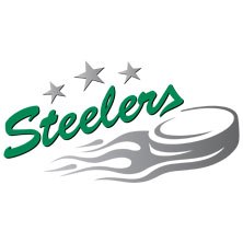 Logo der Bietigheim Steelers mit grünem Schriftzug, drei Sternen und einem flammenden Puck., © links im Bild