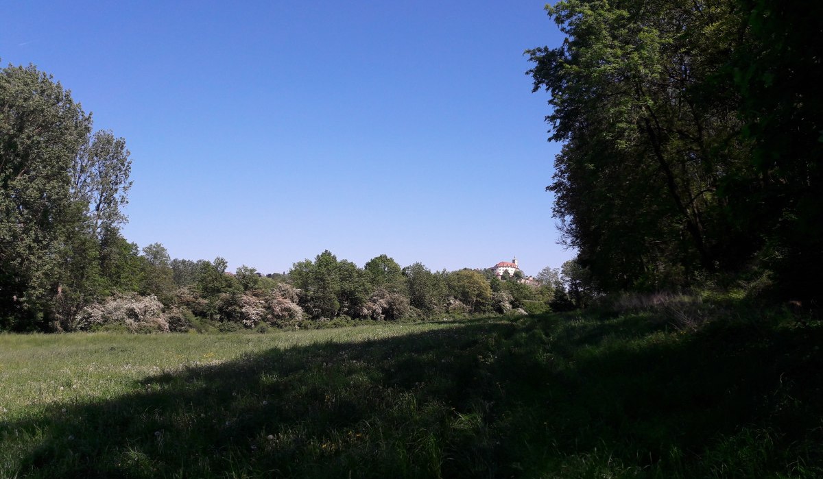 Grüne Wiese mit Bäumen und einem Gebäude im Hintergrund unter klarem, blauem Himmel., © Land der 1000 Hügel - Kraichgau-Stromberg