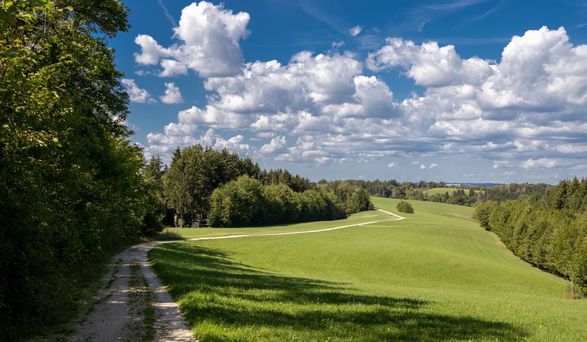 Ein Feldweg schlängelt sich durch grüne Wiesen, umgeben von Bäumen, unter einem blauen Himmel mit weißen Wolken., © Foto Thomas Zehnder Ein Feldweg schlängelt sich durch grüne Wiesen, umgeben von Bäumen, unter einem blauen Himmel mit weißen Wolken., © Foto Thomas Zehnder