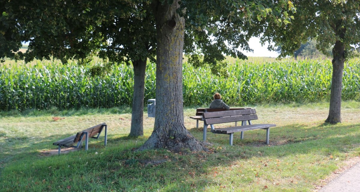 Eine Person sitzt auf einer Bank unter einem Baum, umgeben von Gras und einem Maisfeld. Weitere Bänke stehen in der Nähe., © Remstal Tourismus e.V. Eine Person sitzt auf einer Bank unter einem Baum, umgeben von Gras und einem Maisfeld. Weitere Bänke stehen in der Nähe., © Remstal Tourismus e.V.