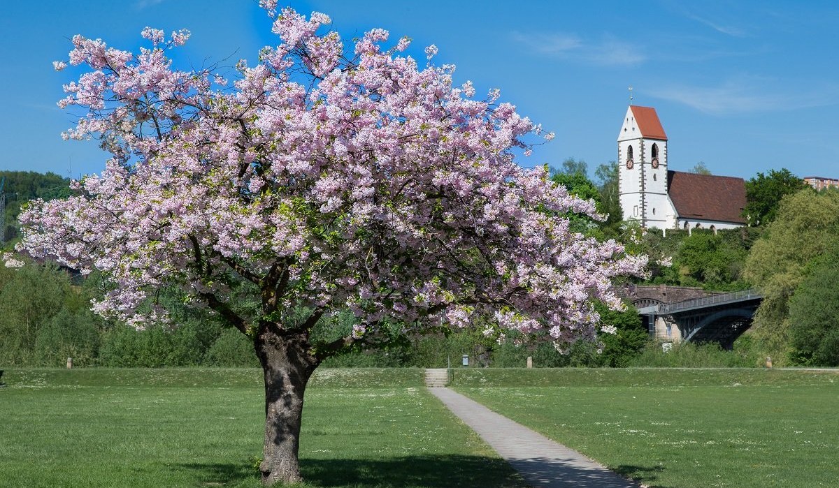 Landschaftspark Bruckenwasen, &copy; Kulturamt Plochingen