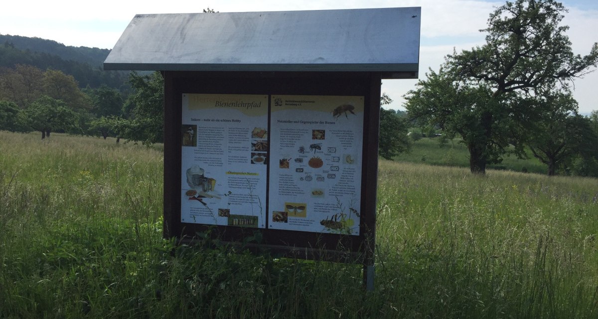 Ein Informationsschild am Bienenlehrpfad steht in einer grünen Wiese, umgeben von Bäumen und Hügeln im Hintergrund., © www.pro-cycl.de Ein Informationsschild am Bienenlehrpfad steht in einer grünen Wiese, umgeben von Bäumen und Hügeln im Hintergrund., © www.pro-cycl.de