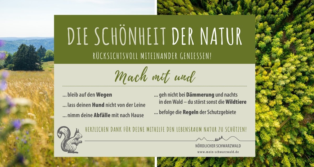 Infografik mit Naturbildern und Tipps zum Schutz der Natur im Schwarzwald, wie auf Wegen bleiben und Abfälle mitnehmen., © Nördlicher Schwarzwald Infografik mit Naturbildern und Tipps zum Schutz der Natur im Schwarzwald, wie auf Wegen bleiben und Abfälle mitnehmen., © Nördlicher Schwarzwald