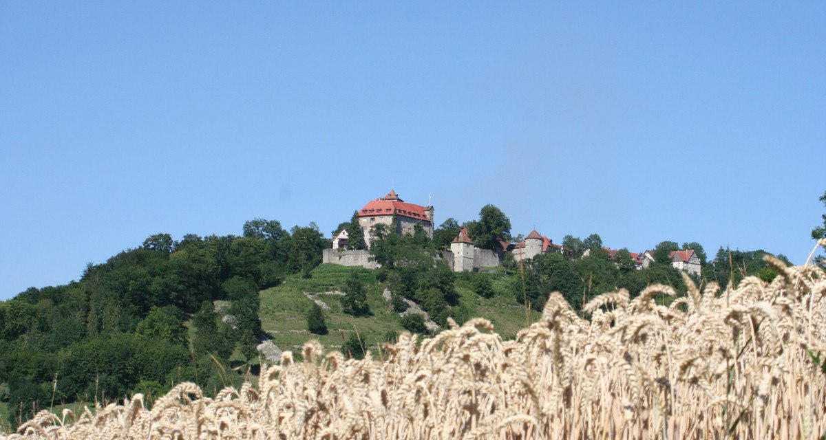 Burg und Schloss Stetten auf einem bewaldeten Hügel, umgeben von Bäumen. Im Vordergrund ein Weizenfeld unter klarem, blauem Himmel., © Touristikgemeinschaft Hohenlohe, Künzelsau / Marion Schlund Burg und Schloss Stetten auf einem bewaldeten Hügel, umgeben von Bäumen. Im Vordergrund ein Weizenfeld unter klarem, blauem Himmel., © Touristikgemeinschaft Hohenlohe, Künzelsau / Marion Schlund