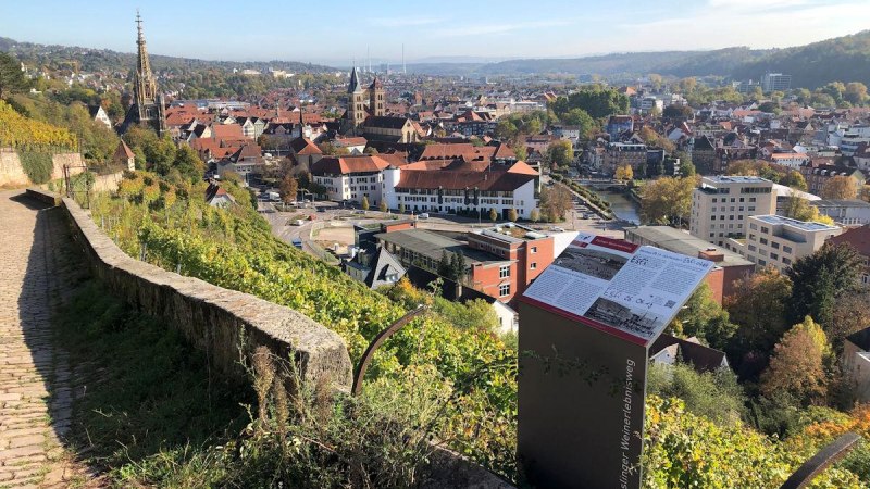 Blick nach Osten von den Esslinger Weinbergen auf die Stadt, © Denkmalschutz