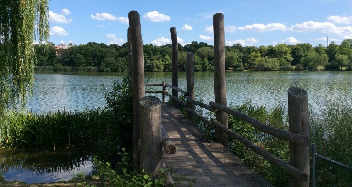 Ein Holzsteg führt über einen ruhigen See, umgeben von üppigem Grün und Bäumen unter einem blauen Himmel mit weißen Wolken., © Herde Ein Holzsteg führt über einen ruhigen See, umgeben von üppigem Grün und Bäumen unter einem blauen Himmel mit weißen Wolken., © Herde
