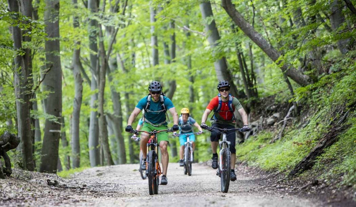Vier Mountainbiker fahren auf einem Waldweg durch einen dichten, grünen Wald. Sie tragen Helme und sportliche Kleidung., © Schwäbische Alb Tourismusverband e.V.