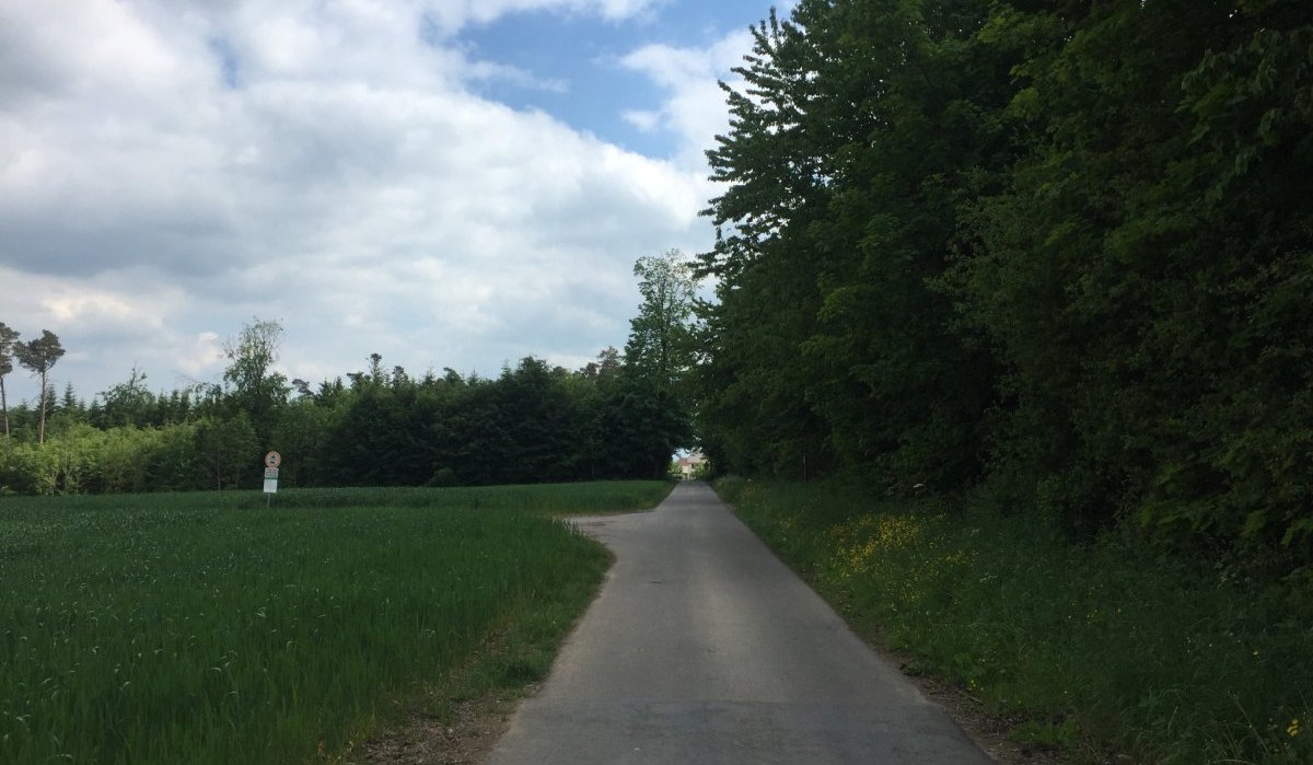 Ein schmaler Weg f&uuml;hrt durch eine gr&uuml;ne Landschaft mit B&auml;umen und Wiesen unter einem bew&ouml;lkten Himmel., &copy; www.pro-cycl.de