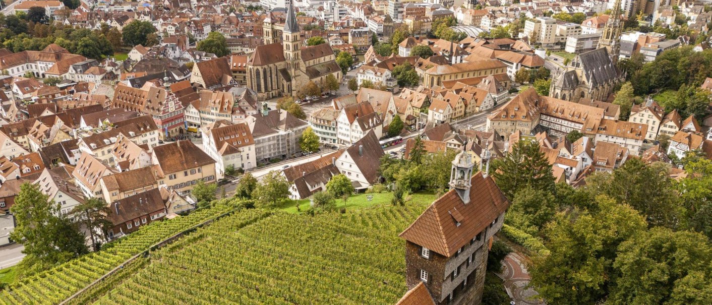 Luftaufnahme von Esslingen: Im Vordergrund Weinberge, im Hintergrund die Altstadt mit historischen Gebäuden und Kirchen., © SMG, Sarah Schmid Luftaufnahme von Esslingen: Im Vordergrund Weinberge, im Hintergrund die Altstadt mit historischen Gebäuden und Kirchen., © SMG, Sarah Schmid