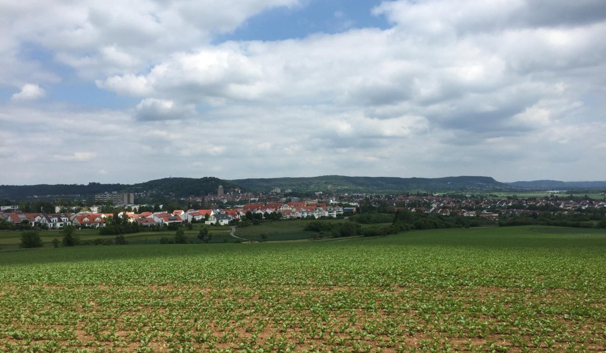 Blick auf Herrenberg mit grünen Feldern im Vordergrund, roten Dächern und bewölktem Himmel., © Natur.Nah. Schönbuch & Heckengäu Blick auf Herrenberg mit grünen Feldern im Vordergrund, roten Dächern und bewölktem Himmel., © Natur.Nah. Schönbuch & Heckengäu