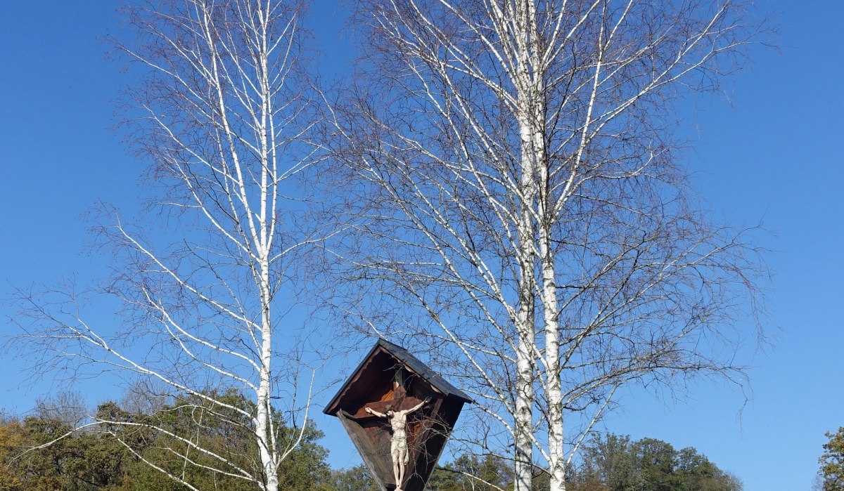 Ein Kruzifix steht zwischen zwei kahlen Birken auf einer grünen Wiese unter klarem, blauem Himmel., © Foto: Cornelia Steinbach