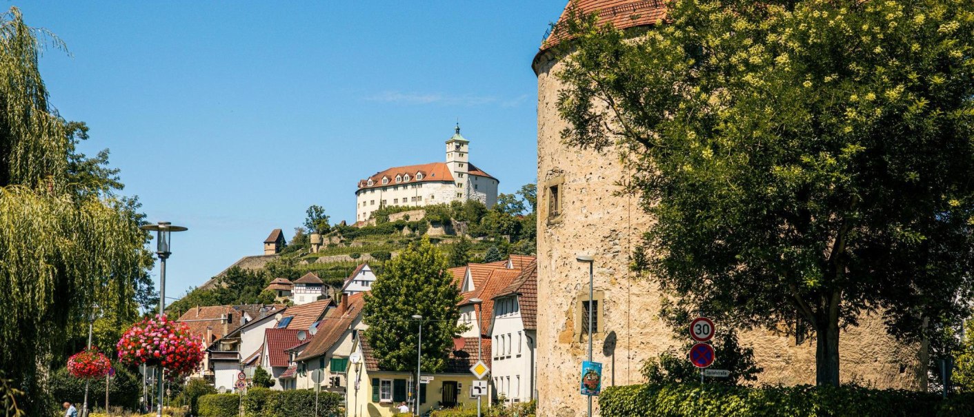Der Pulverturm in Vaihingen an der Enz mit der Burg im Hintergrund, umgeben von Bäumen und Häusern unter blauem Himmel., © Stuttgart-Marketing GmbH, Sarah Schmid