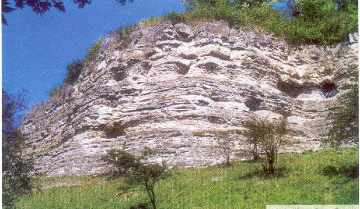 Eine steile Felswand mit markanten Hauerlöchern, umgeben von grüner Vegetation und Bäumen, unter einem klaren blauen Himmel., © Natur.Nah. Schönbuch & Heckengäu Eine steile Felswand mit markanten Hauerlöchern, umgeben von grüner Vegetation und Bäumen, unter einem klaren blauen Himmel., © Natur.Nah. Schönbuch & Heckengäu