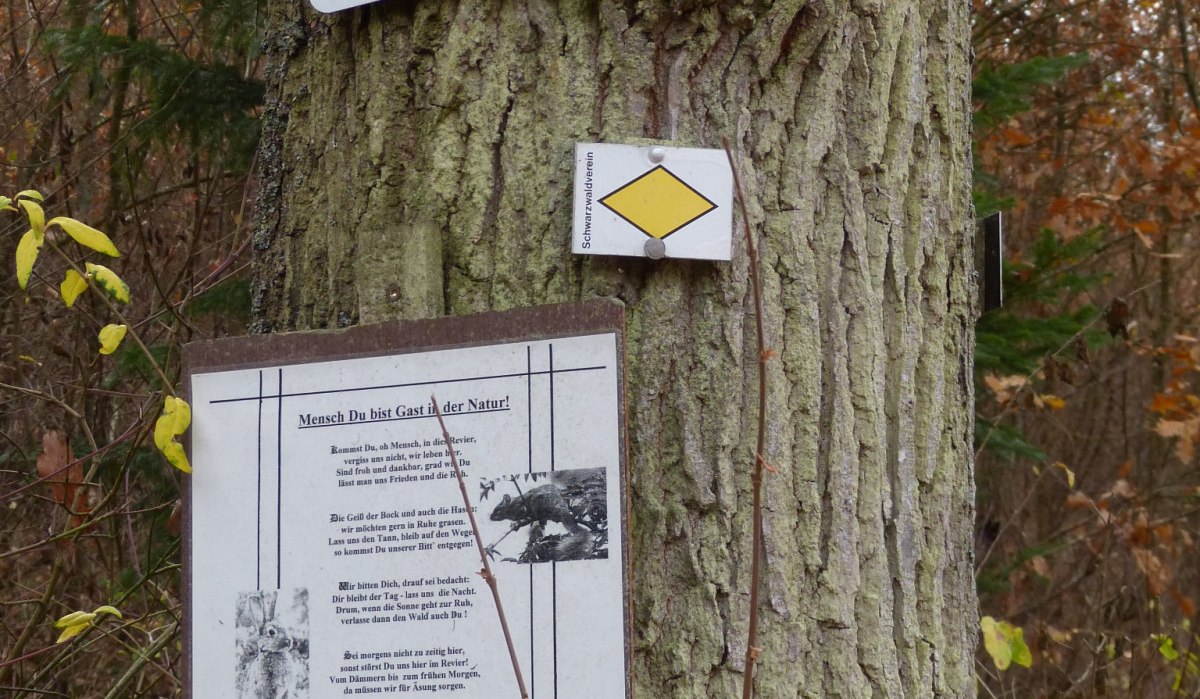 Ein Baum mit einem Radweg-Schild, einer gelben Raute und einem Hinweis zur Natur. Herbstliche Umgebung mit Laub im Hintergrund., &copy; Natur.Nah. Sch&ouml;nbuch & Heckeng&auml;u