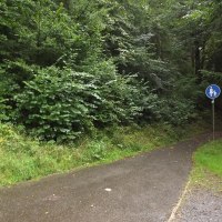 Ein schmaler, asphaltierter Weg führt durch einen grünen Wald. Ein blaues Fußgängerweg-Schild steht am Rand., © Natur.Nah. Schönbuch & Heckengäu Ein schmaler, asphaltierter Weg führt durch einen grünen Wald. Ein blaues Fußgängerweg-Schild steht am Rand., © Natur.Nah. Schönbuch & Heckengäu