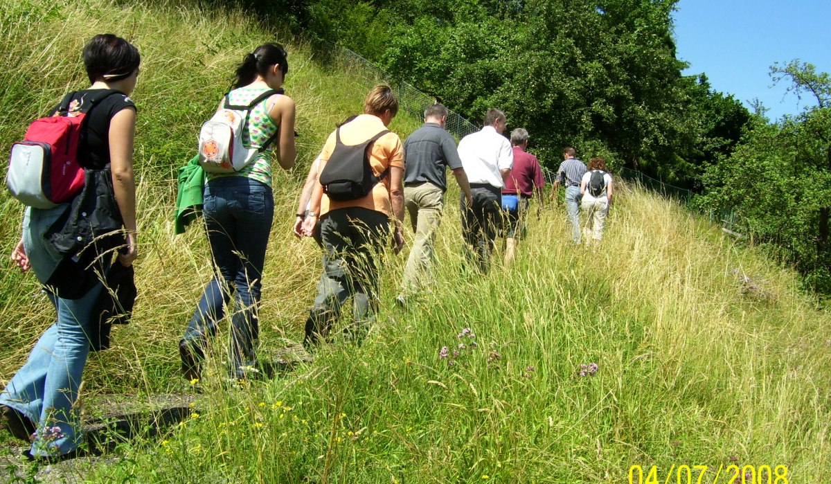 Eine Gruppe von Wanderern geht einen grasbewachsenen Pfad hinauf, umgeben von Bäumen und Wiesen am Elisabethenberg. Datum: 04.07.2008., © Stadt Lorch